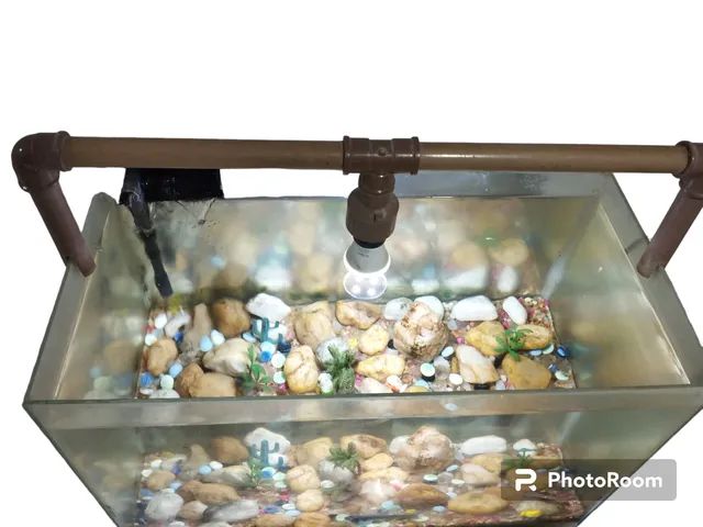 Aquário  - Foto 2