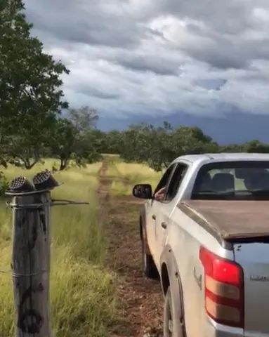 Fazenda em Taipas Tocantis com 896 Alqueires Taipas Tocantis TO