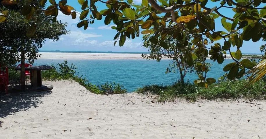 praia Mangue Seco - Foto 6