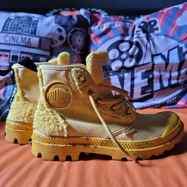 Bota