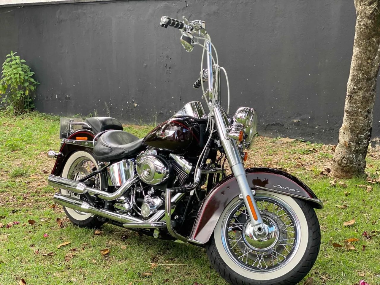 Harley-davidson Softail deluxe  flstn 2011