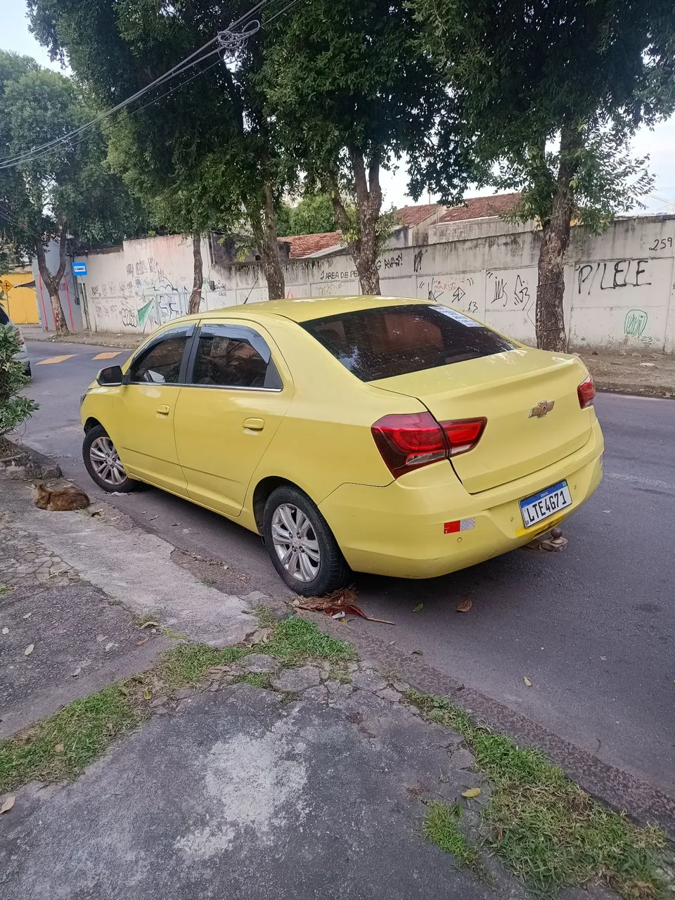 Vendo COBALT LTZ 18 + GNV 18m