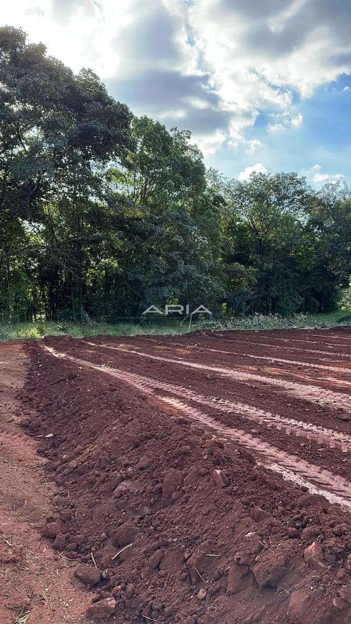 Área a venda de 4 mil m2 - Foto 4