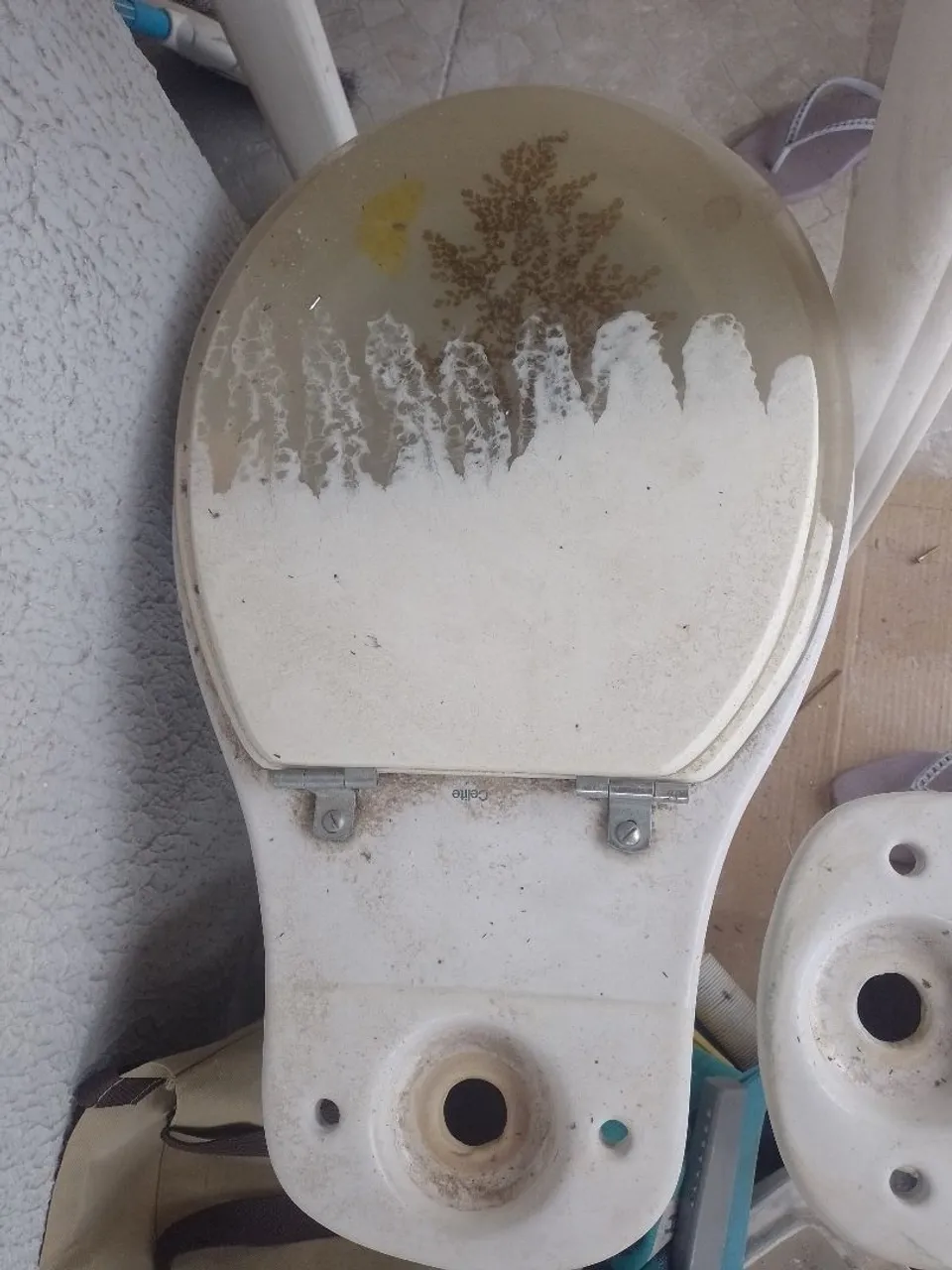Vaso sanitário com tampa em acrílico, descarga funcionando bem porém sem a tampa