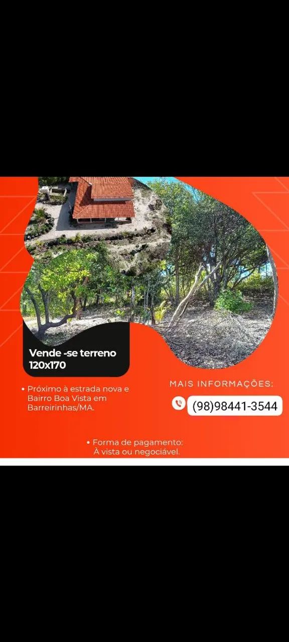 Foto - Barreirinhas - 