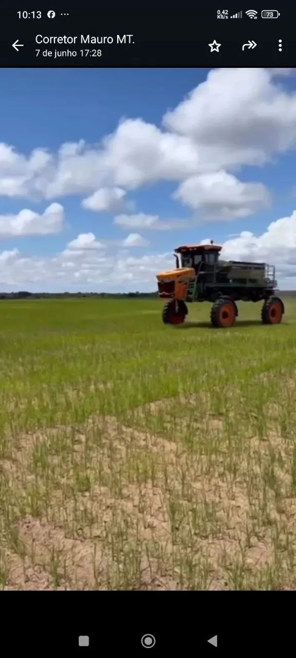 Fazenda 13.800hec no Xingú MT. Planta 6.000, aberta 7.200 plantando hoje 4.100hec - Foto 5