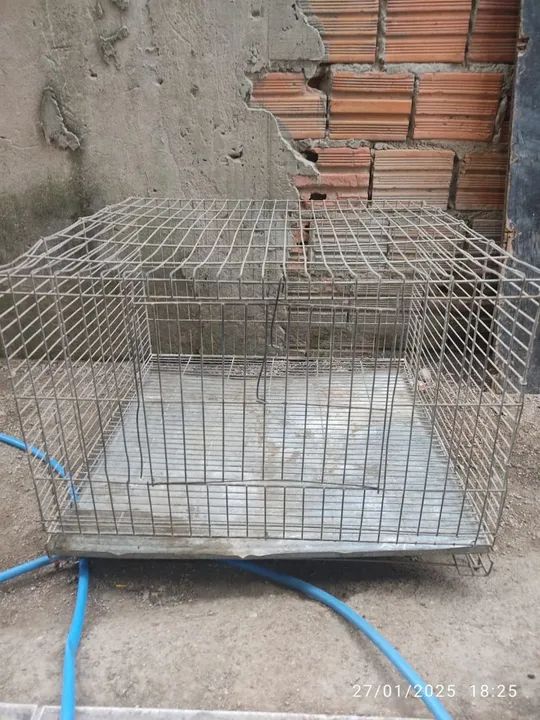 Gaiola de Aço para Animais Pequenos