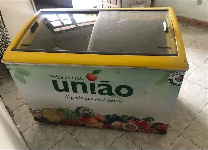 Freezer Horizontal 110v