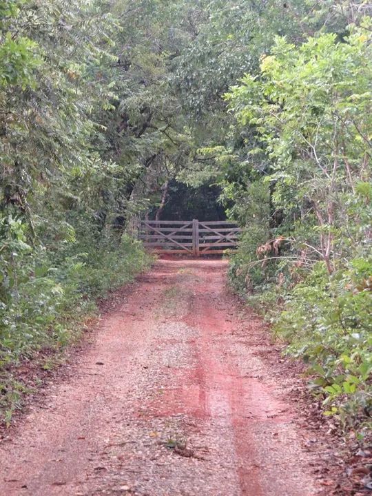 Casa temporada recanto da felicidade chácara  - Foto 9