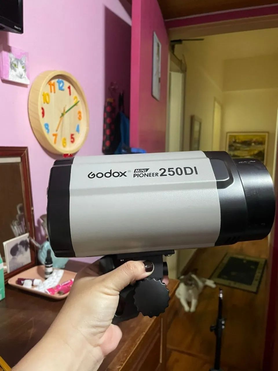 Kit 1 Flash Tocha 250w Godox 250di 110v 1 Tripé 1 Softbox (Usado)