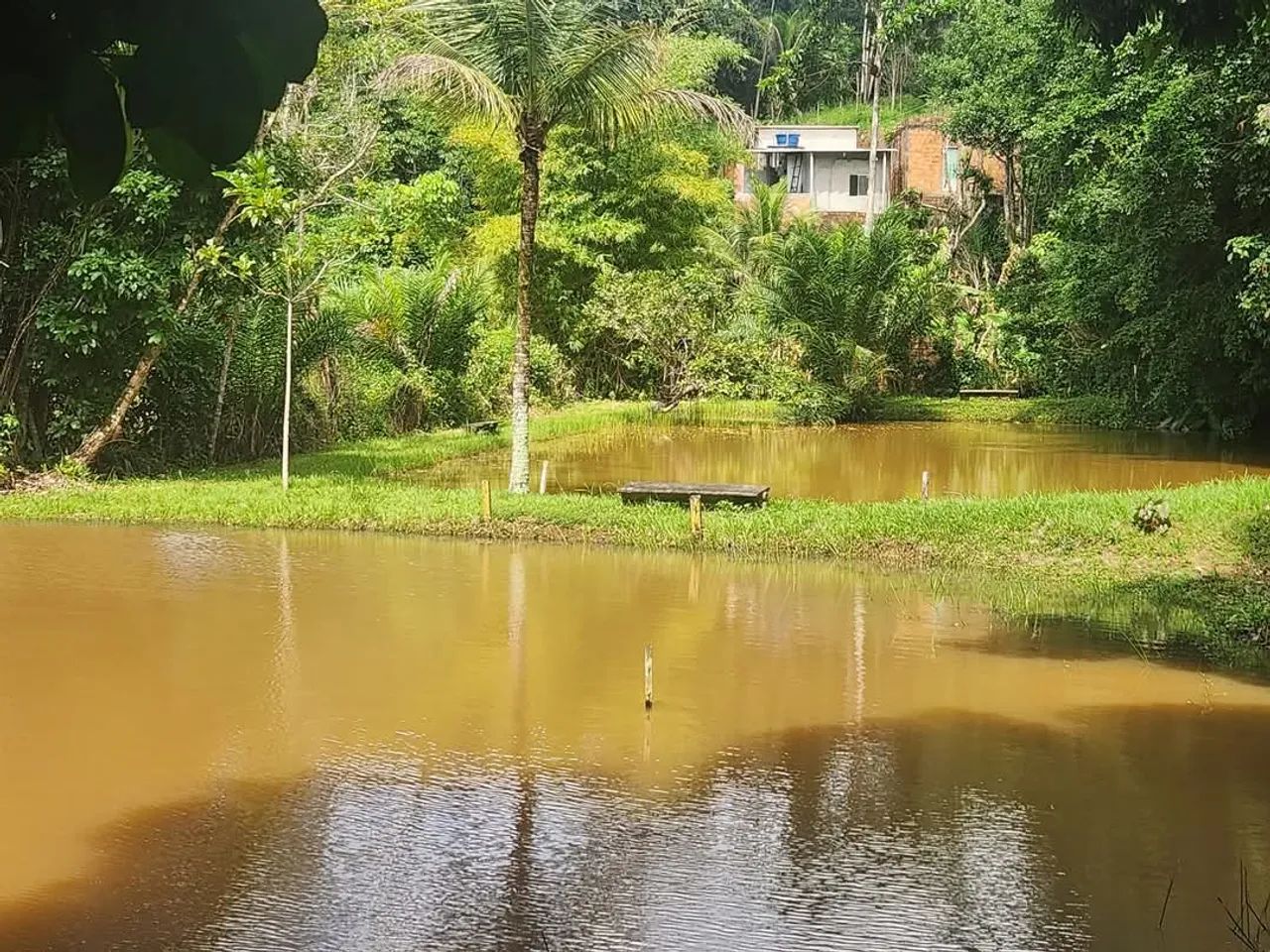 Sítio em Abrantes  - Foto 3