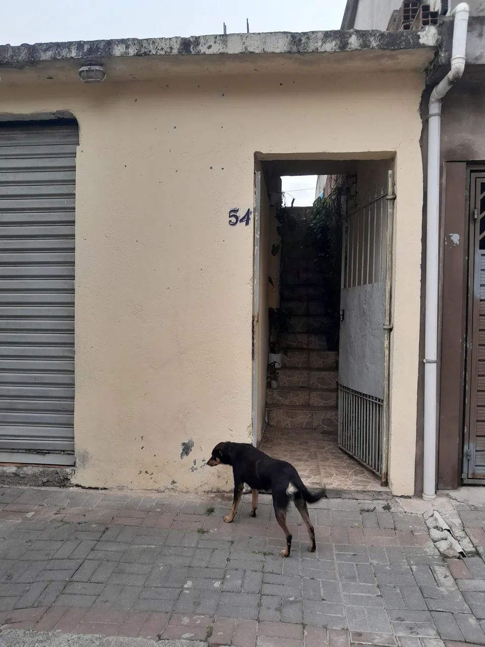 Foto - São Paulo - Jardim Marilda