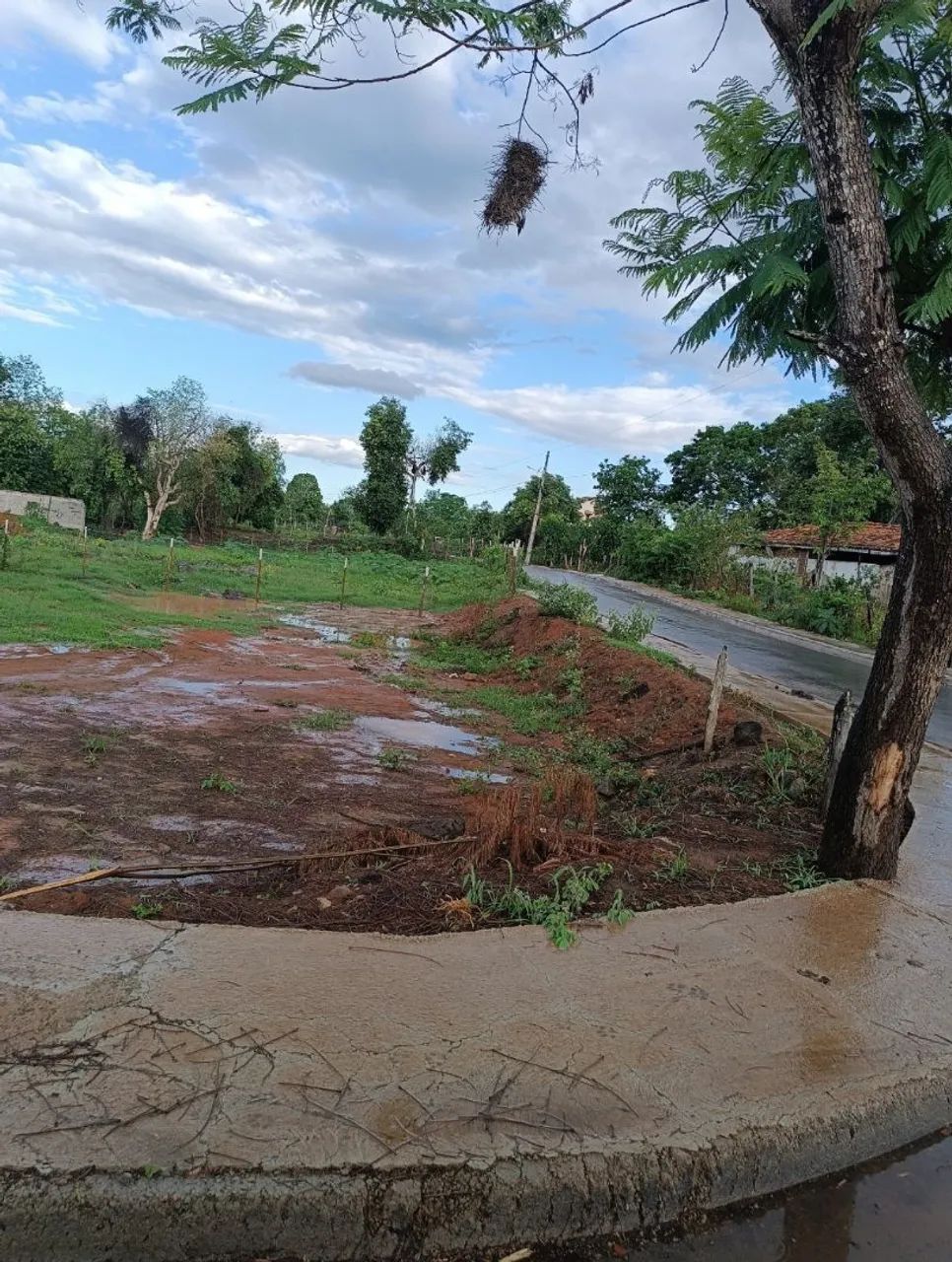 Terreno a venda no colibri - Foto 2