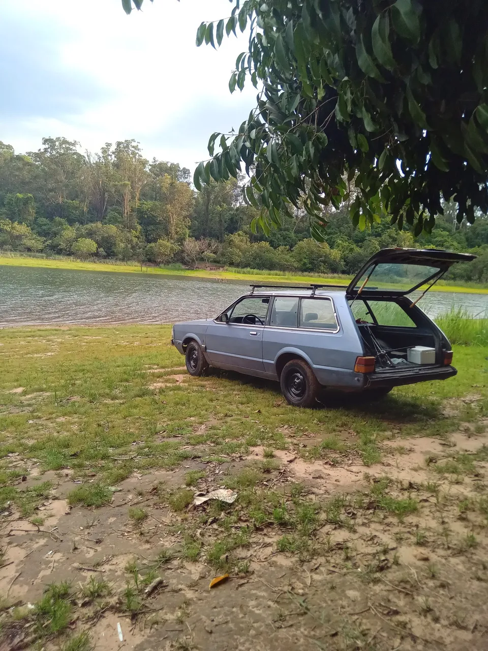 Belina 88 álcool original