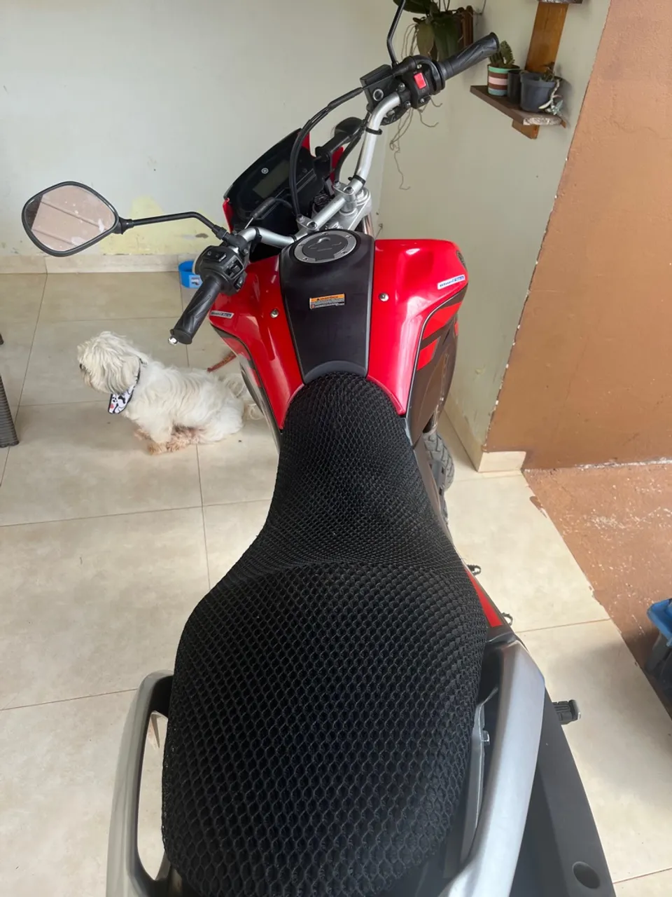 LANDER 250cc 2024