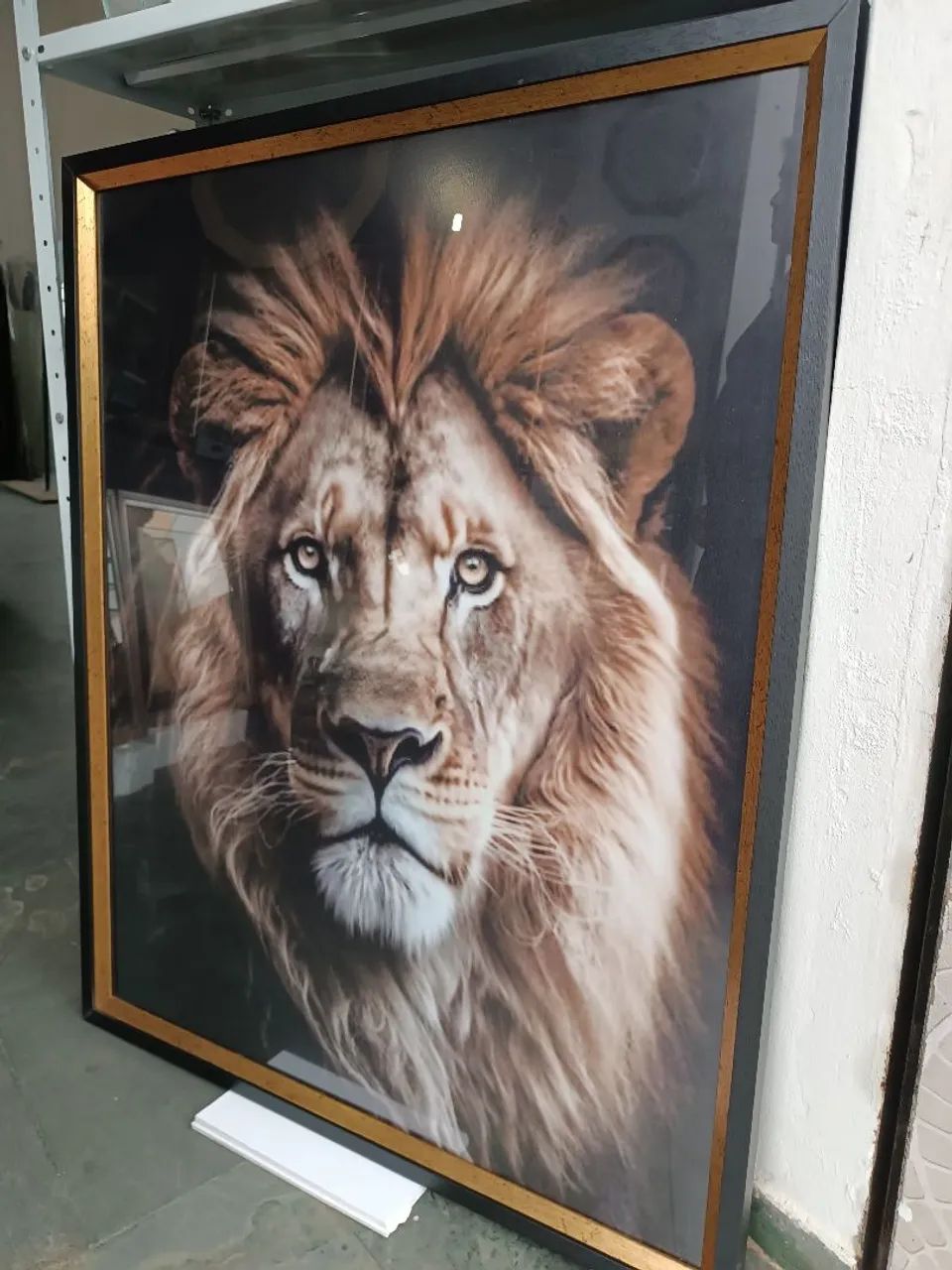 Quadro Decorativo Leão