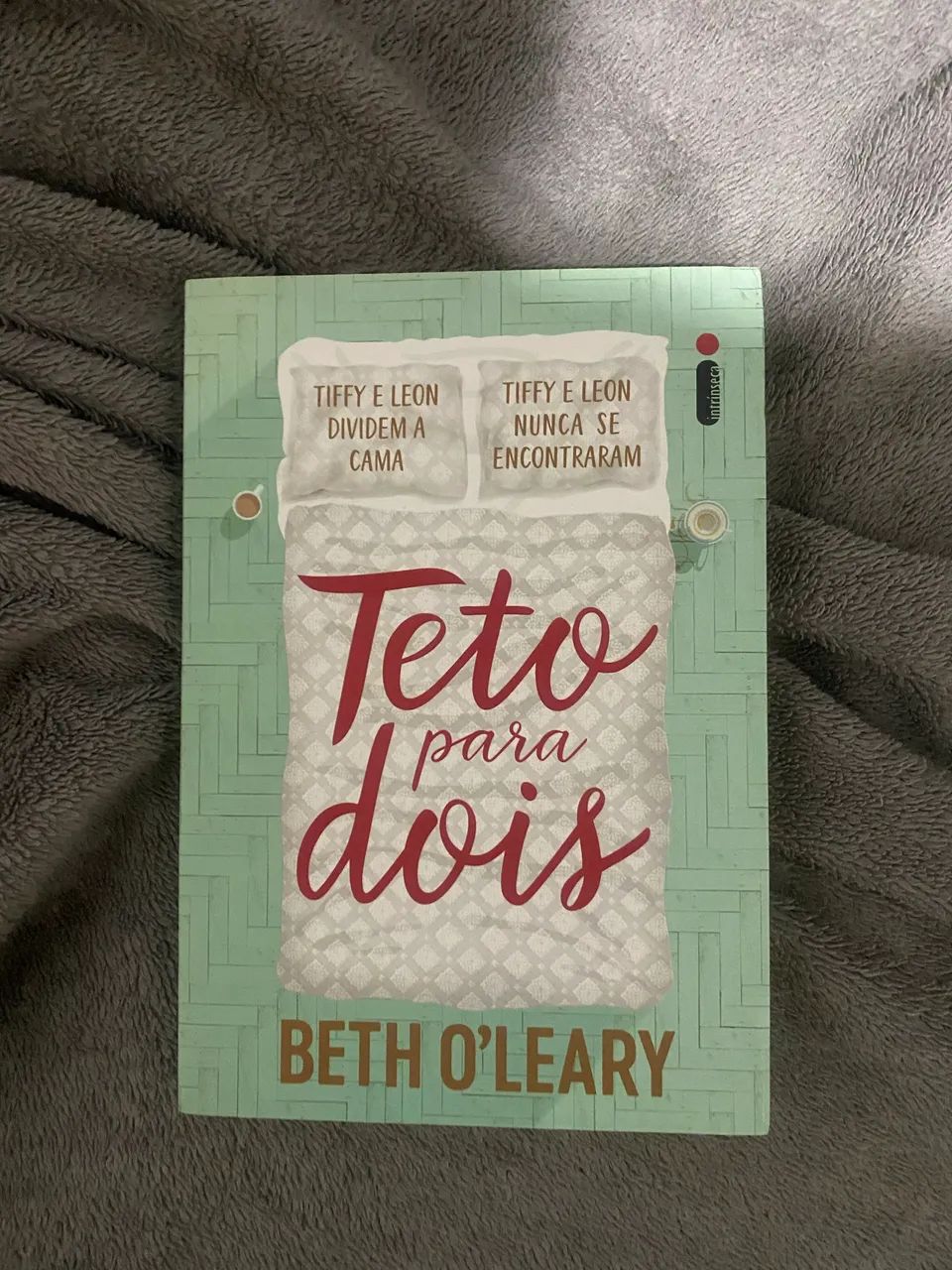 Livros - Teto para dois 