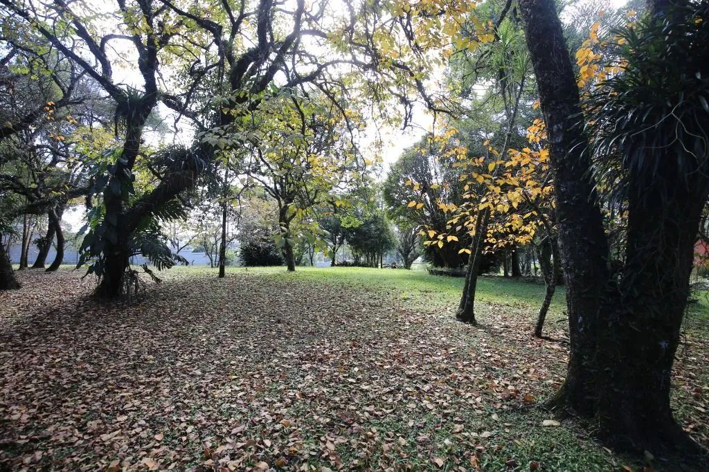 Área à venda, 43943 m² no Riviera - Foto 2