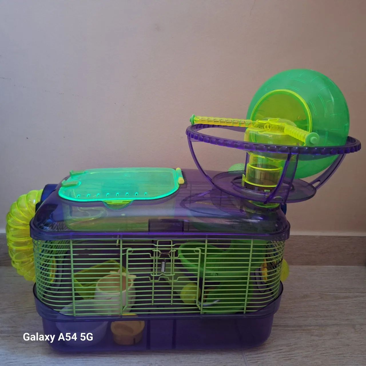 Hamster House
