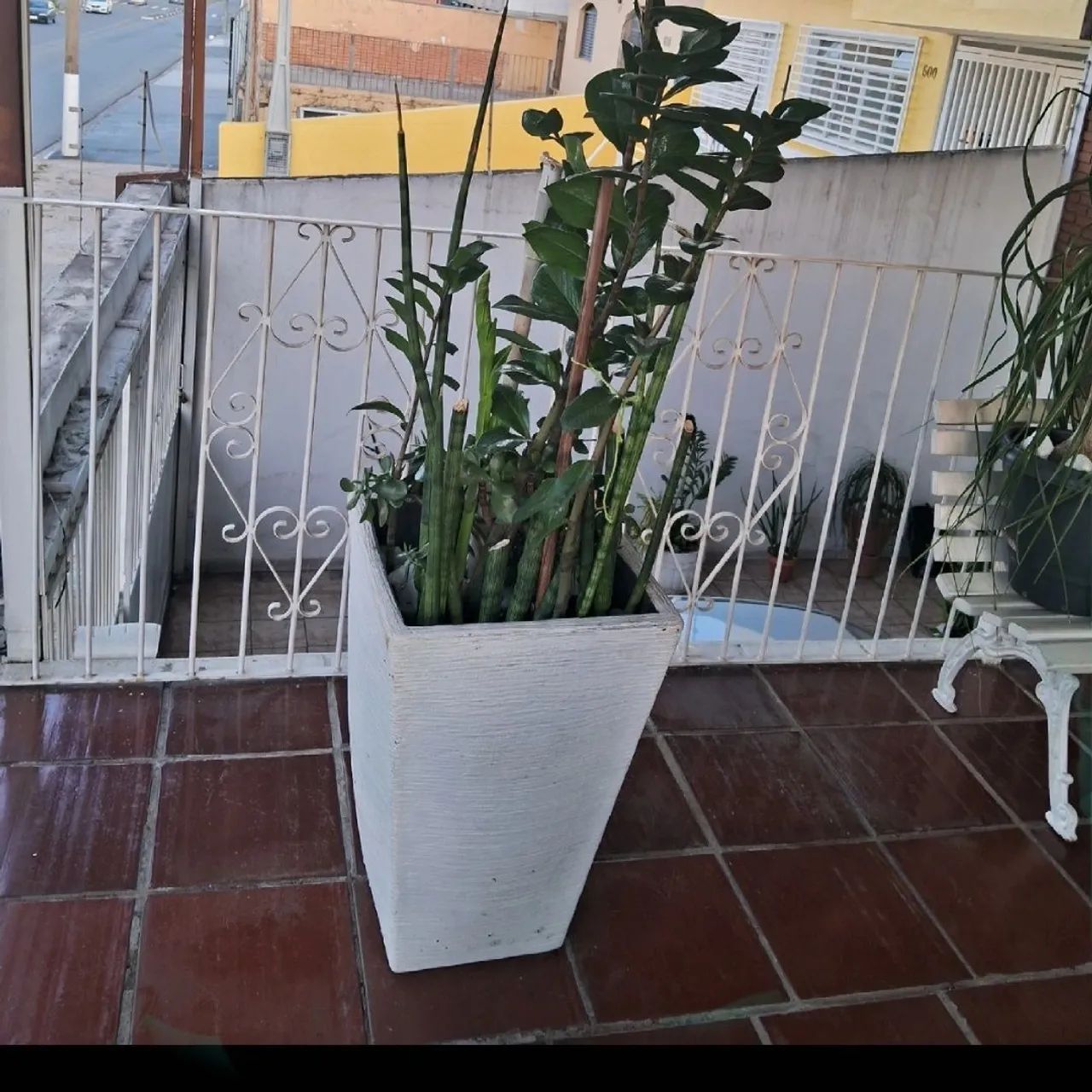 Planta em vaso, zamioculcas e jade,  atrai prosperidade,  riqueza, intuição  - Foto 2