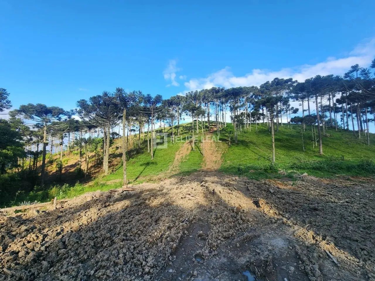 Terreno em Pinheiral - Rancho Queimado - Foto 2