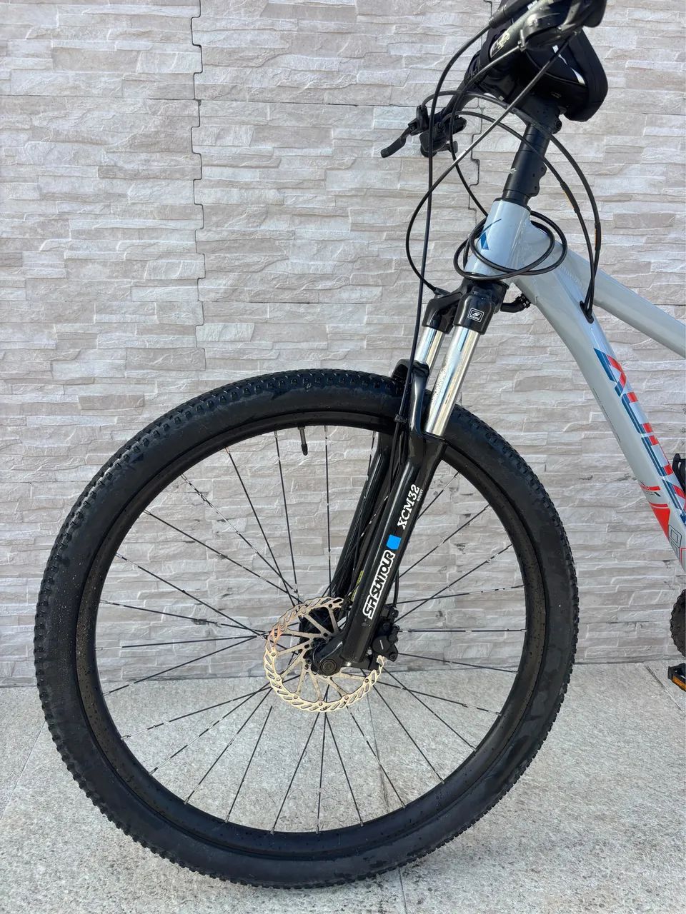 BIKE AUDAX ARO 29 - Foto 2