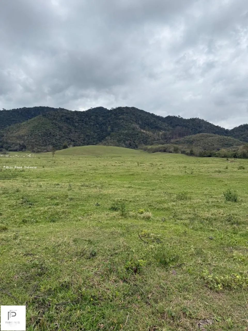 Sítio para Venda em Tanguá, Área Rural - Foto 5