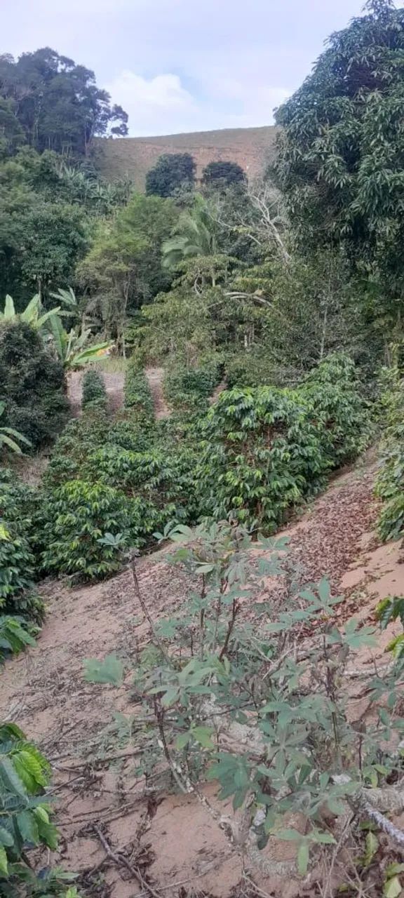 Terreno em Paraju, Domingos Martins-ES  - Foto 2