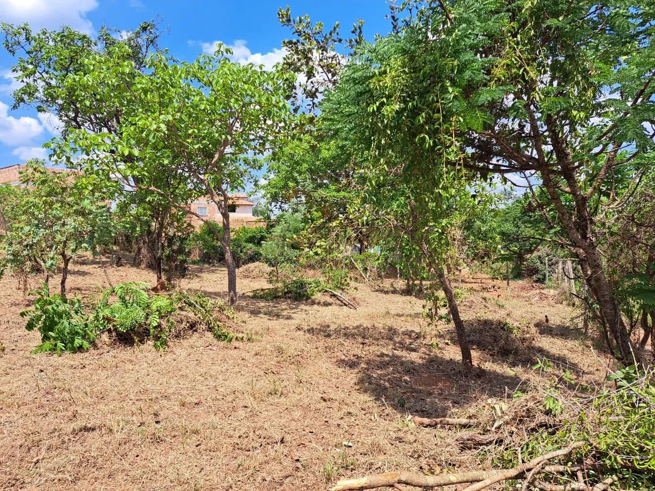 Chácara com vista para serra (Oportunidade) - Foto 4