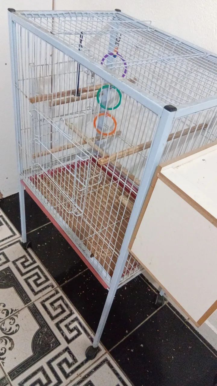 Gaiola grande - Foto 4