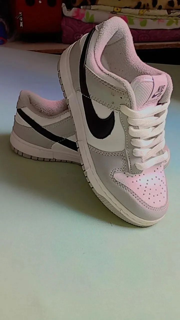 Tênis Nike dunk low pro 