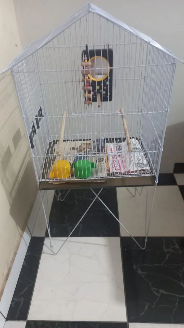 Cage64993720602243120