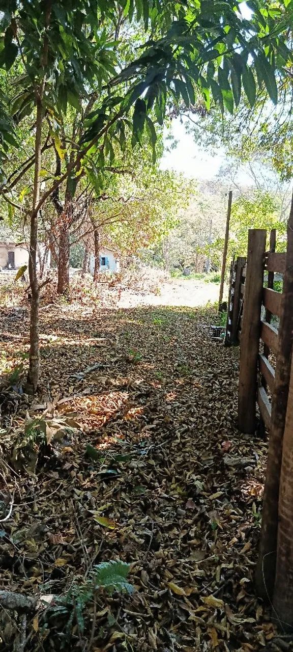 Terreno em Pirenópolis com rio 72980-000 - Foto 5
