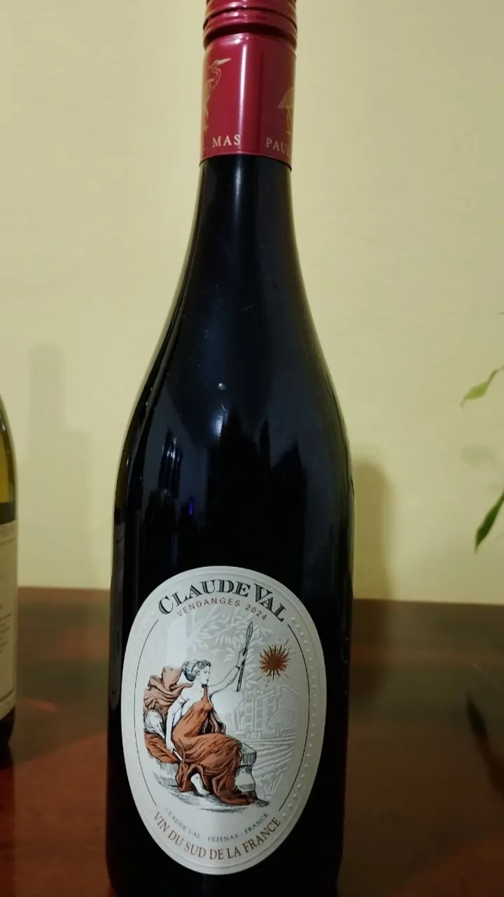 5 garrafas de vinho - Foto 4