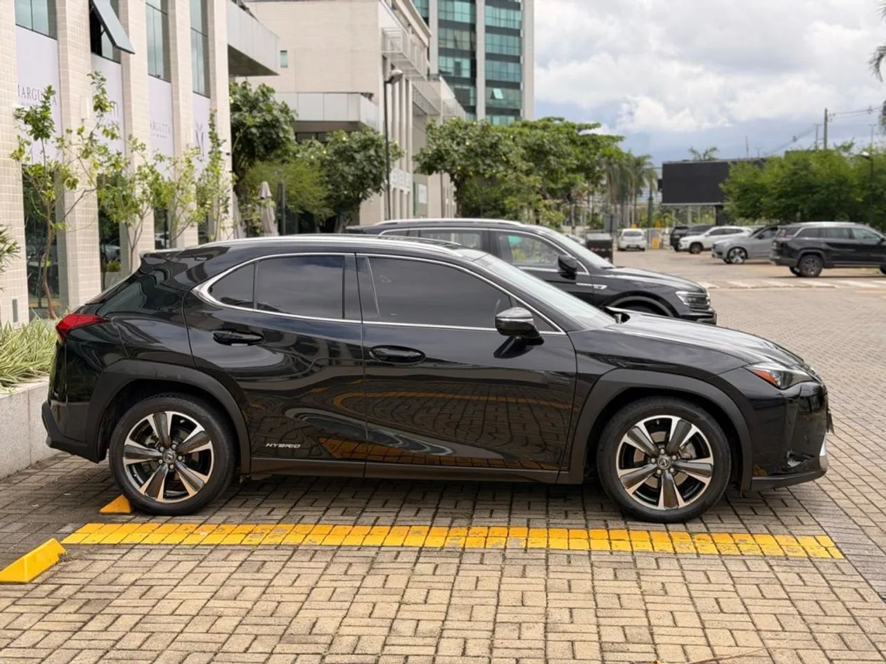 Lexus UX-250h Luxury 2.0 16V Aut.(hybrid), foto 5 de 20