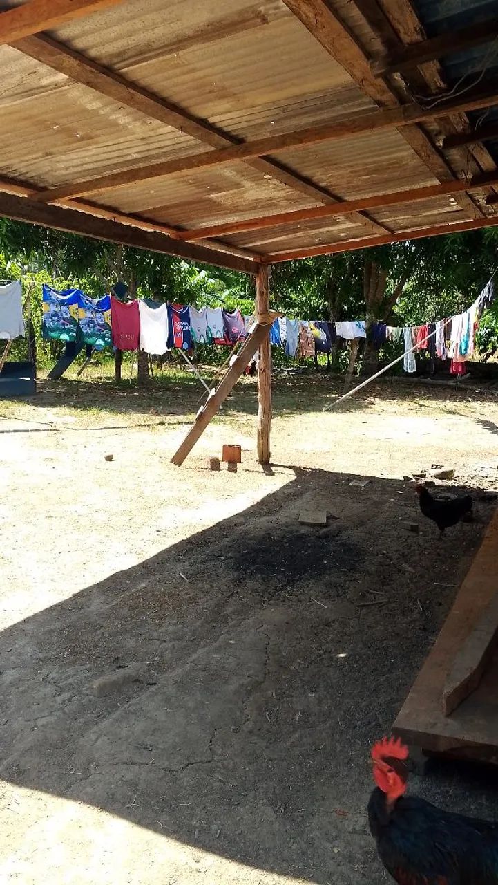 Sítio avenda no ramal Az4 cidade de Autazes  - Foto 5