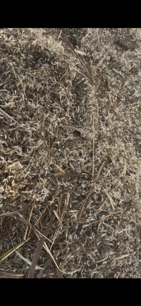 Agropecuária  - Foto 2