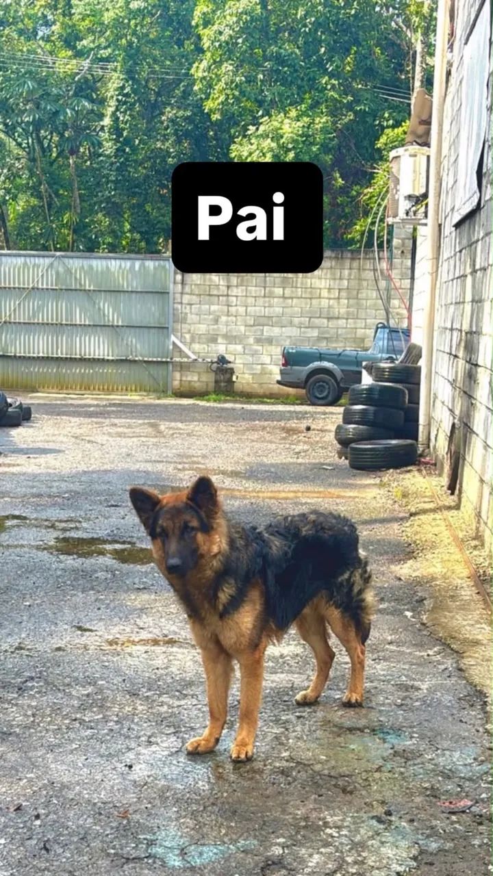 vende-se  - Foto 4