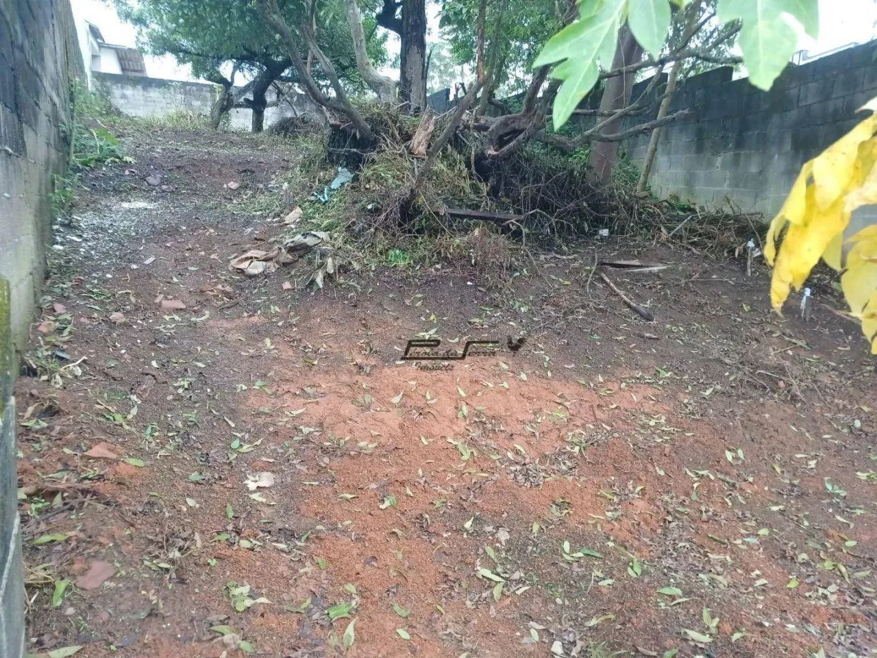 Lindo Terreno no Barro Branco - Foto 3