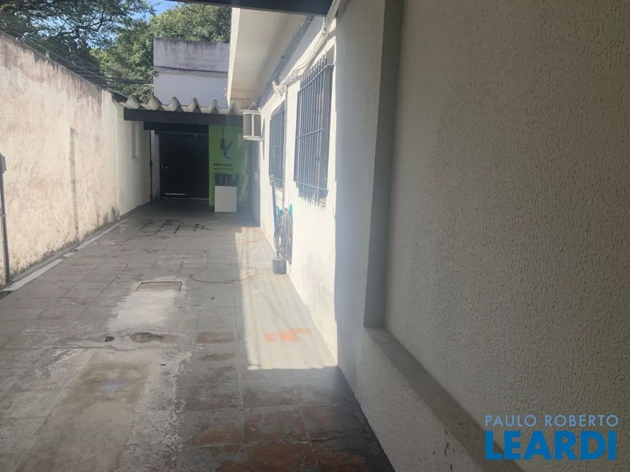 GALPÃO - LIMÃO - SP - Foto 5