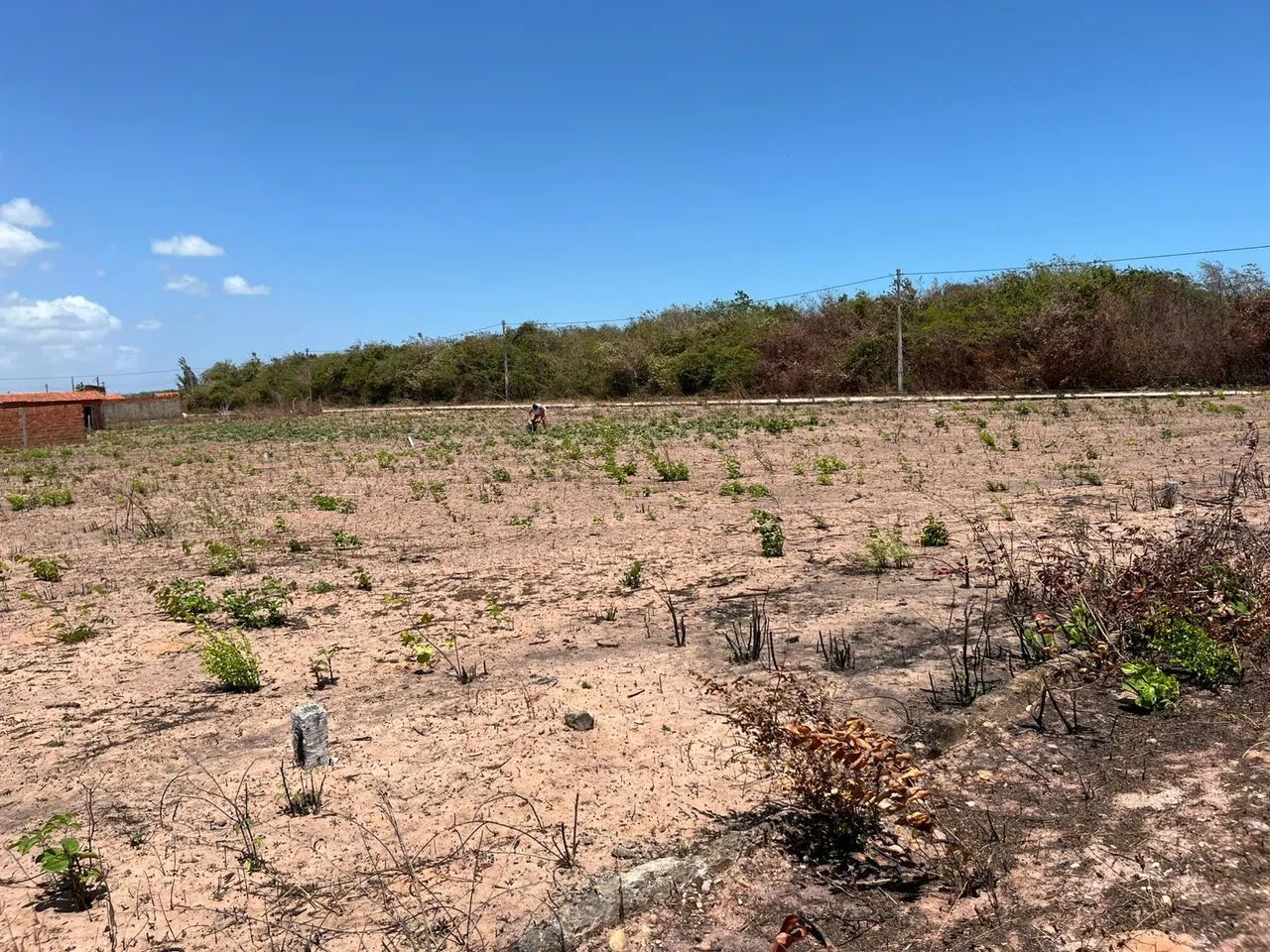 Terreno na Lagoinha paraipaba - Foto 5