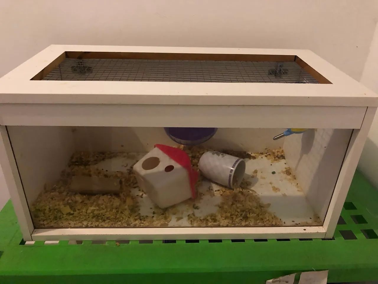 Terrário hamster 
