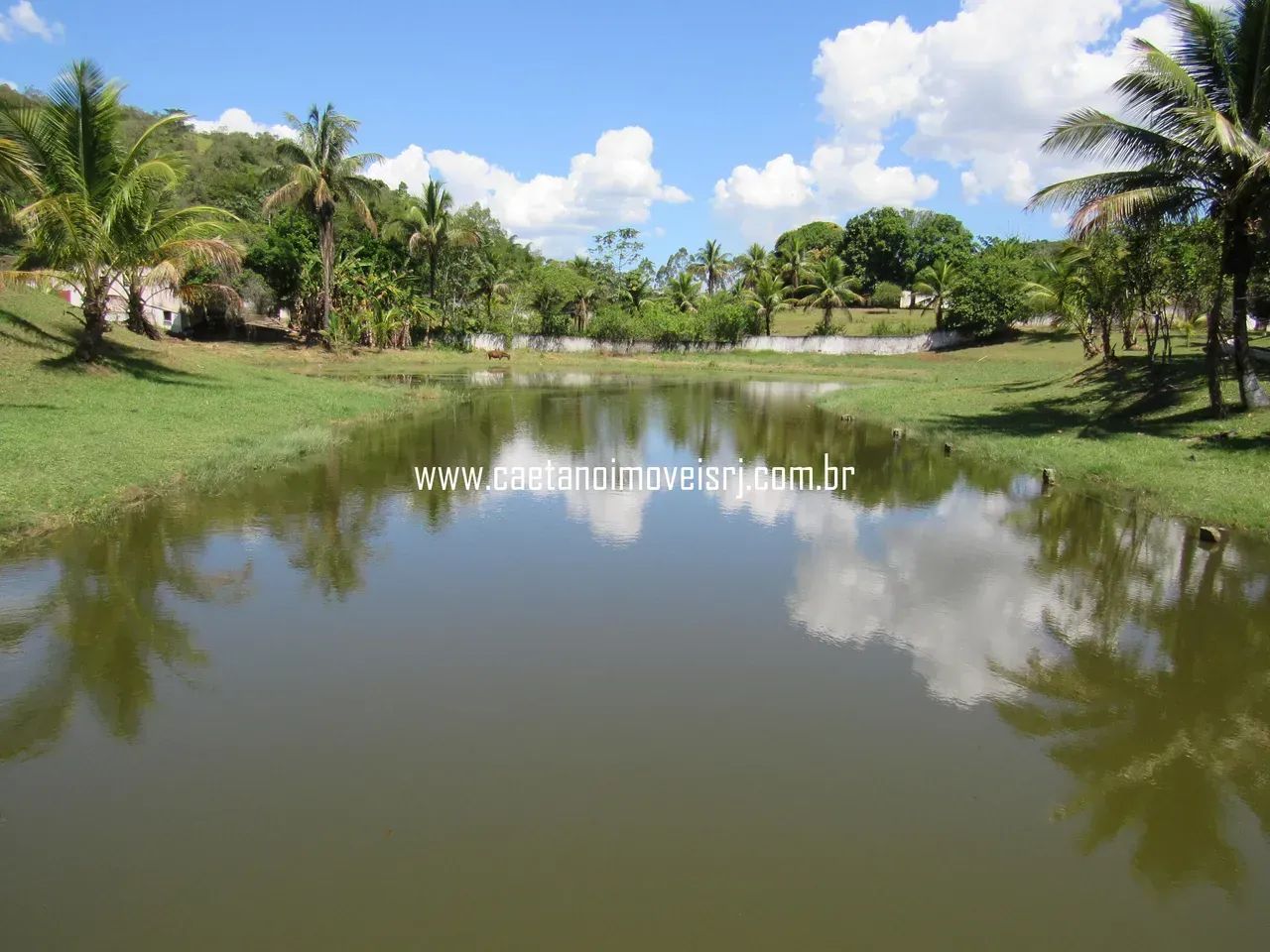 Sítio de 11.000m2 Todo Murado - Oportunidade - Foto 4