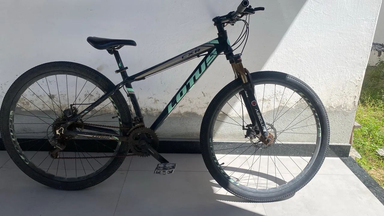 Bicicleta aro 29