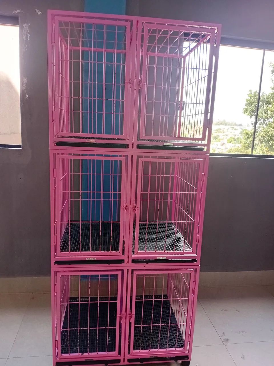 Canil compacto 6 lugares