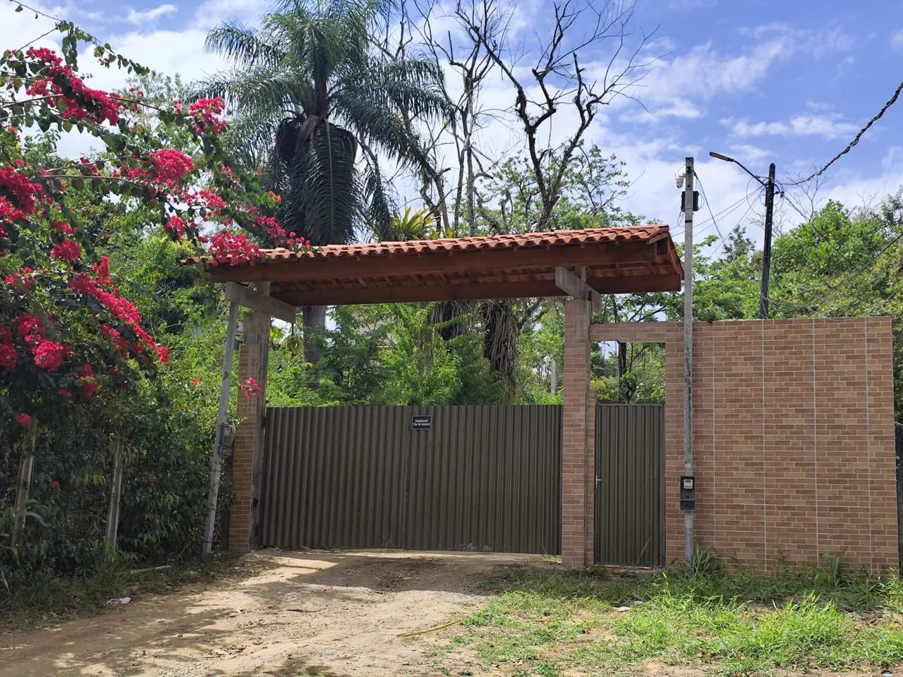 Foto - Camaragibe - Borralho