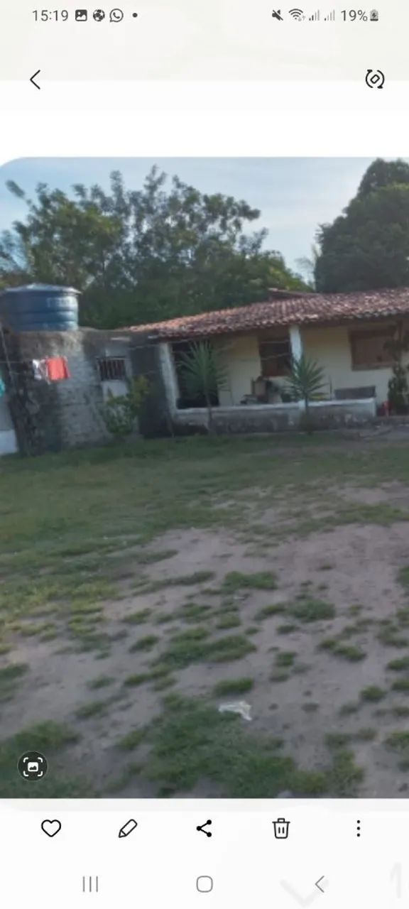 Vendo ou troco/ granja  - Foto 2