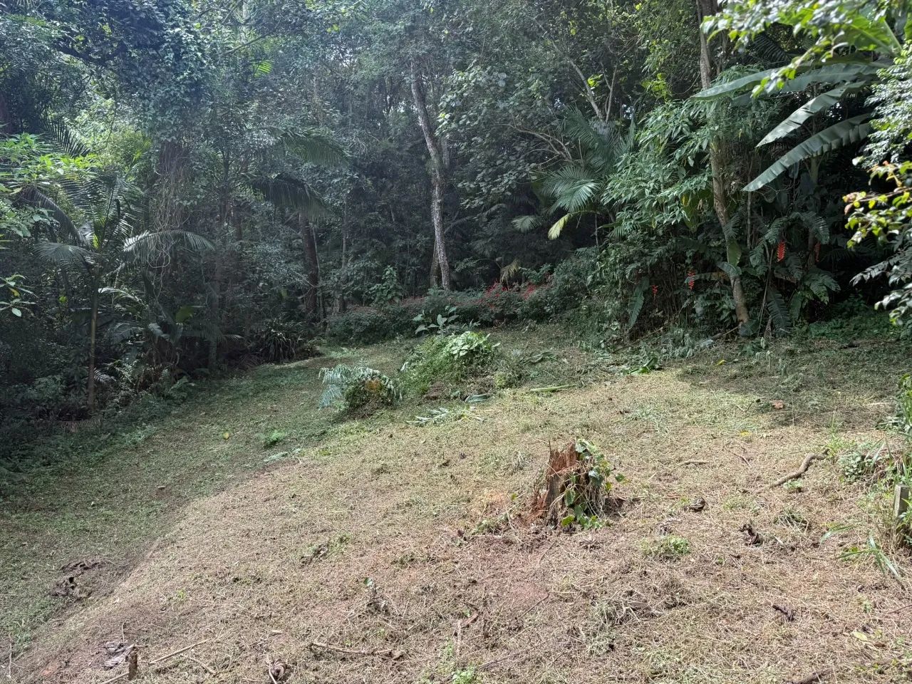 Terreno à venda no condomínio Vila Diva