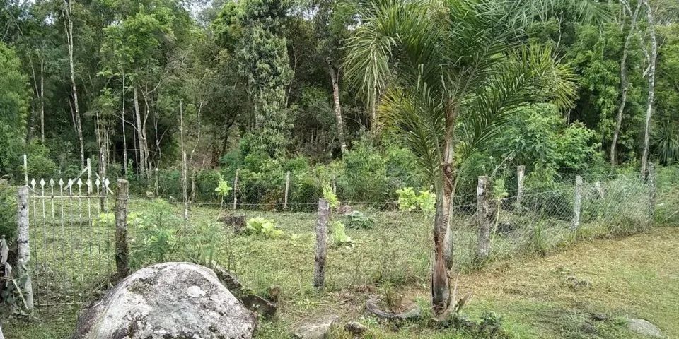 Chácara em Mandirituba - 6.050m² - Foto 4