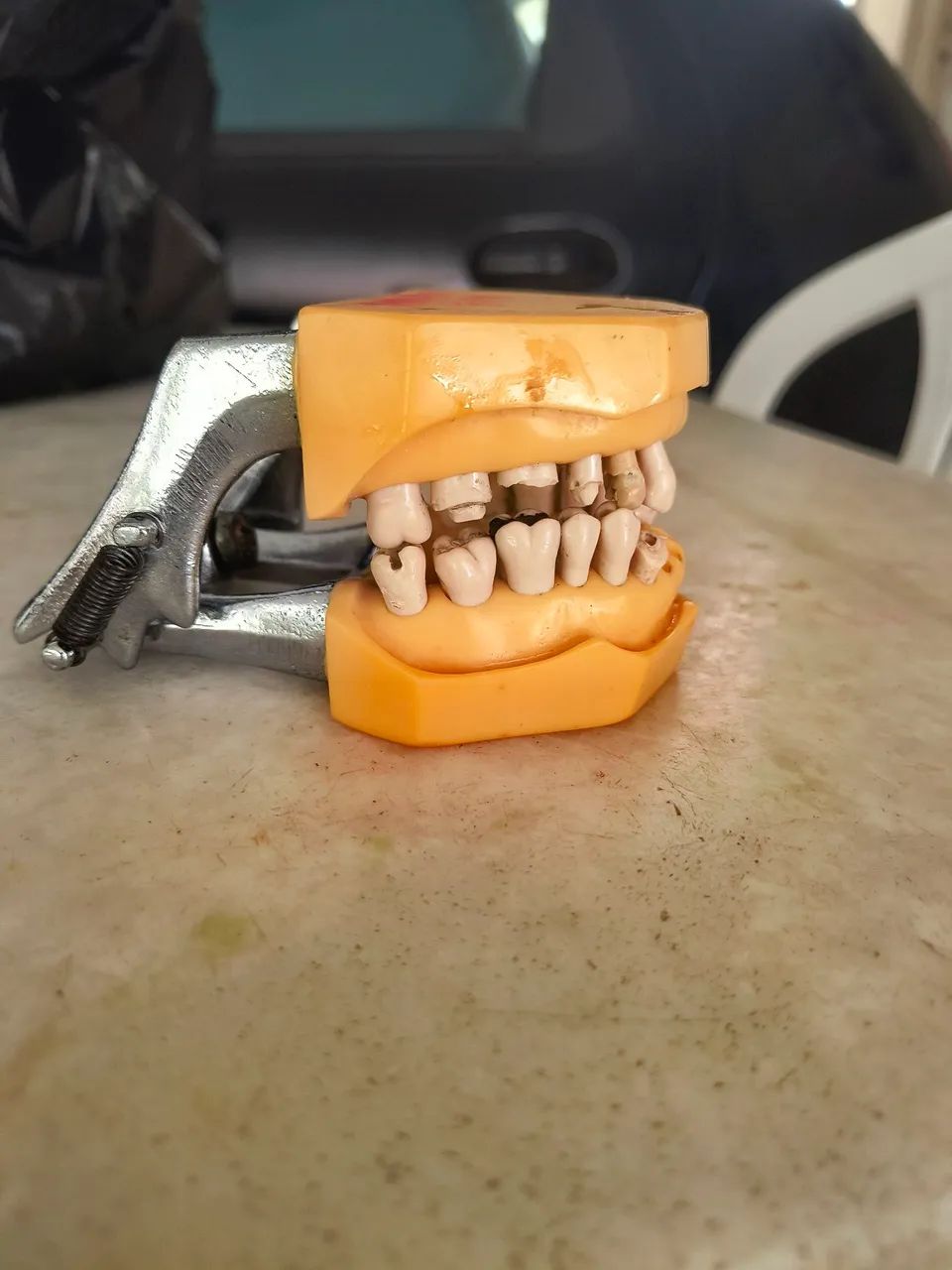 Vendo.uma prótese dentária de amostra 